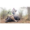 Image 8 : 10 Day/9 Night Buffalo Hunt for 2 Hunters in Limpopo Province South Africa w/ Ubathi Global Safaris