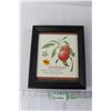 Image 1 : Framed Art - 9" x 10 1/2"