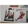 Image 6 : (9) Jarome Iginla Hockey Cards