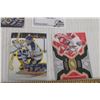 Image 4 : (9) Dominik Hasek Hockey Cards