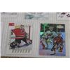 Image 5 : (9) Martin Brodeur Hockey Cards