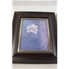 Image 2 : (2) Framed Floral Prints - 13 3/4" x 15 3/4"