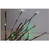 Image 2 : Light Up Branches - Works