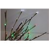 Image 2 : Light Up Branches - Works