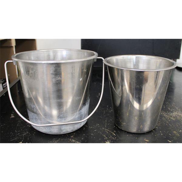 TWO ICE BUCKETS