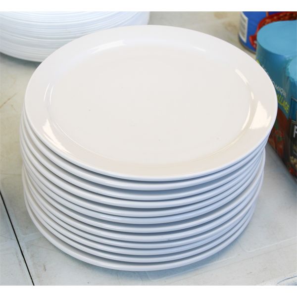 12 PURE WHITE PLATES APPROX. 10 1/4"
