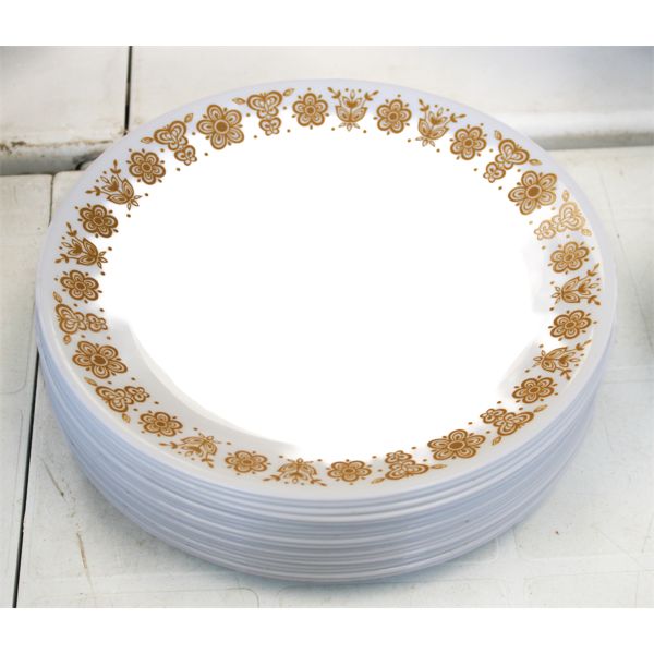 18 PLATES APPROX. 10 1/4"