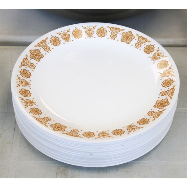 19 PLATES APPROX. 10 1/4"