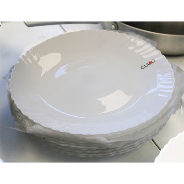 11 NEW CLARO APPROX. 10 1/4" PLATES
