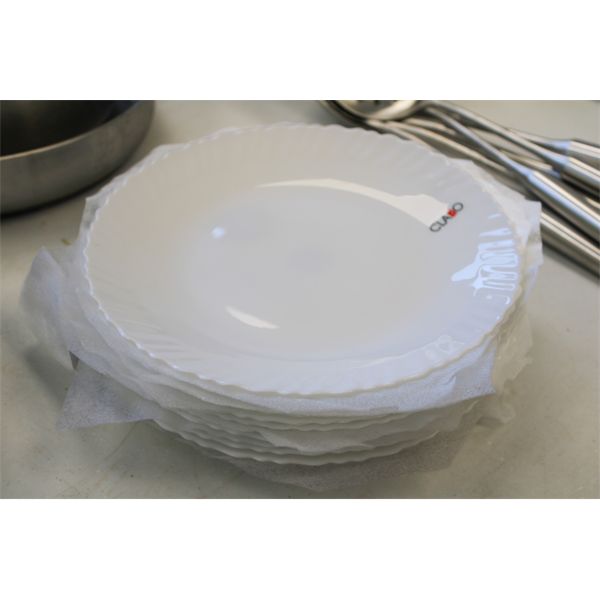 11 NEW CLARO APPROX. 10 1/2" PLATES