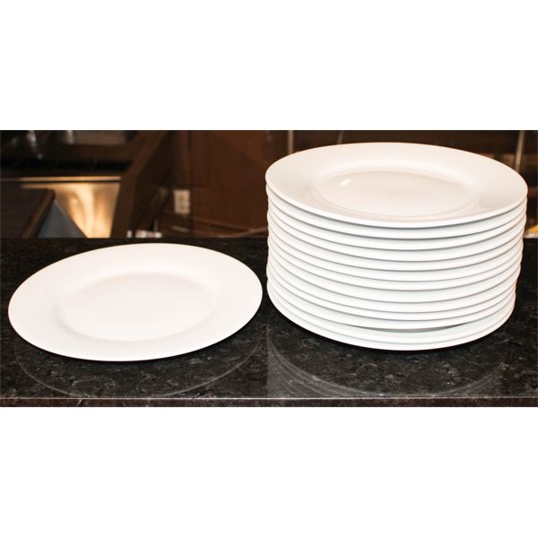 14 VITREX 10 3/4" WHITE PLATES