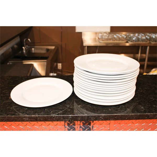 15 VITREX 10 3/4" WHITE PLATES