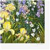 Image 2 : Untitled by Powell, John