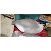 Image 6 : CANADA GOOSE DOG TRAINING DUMMY AND CANADA GOOSE BODY X 1 AND MALLARD BODIES SHELLS ONLY