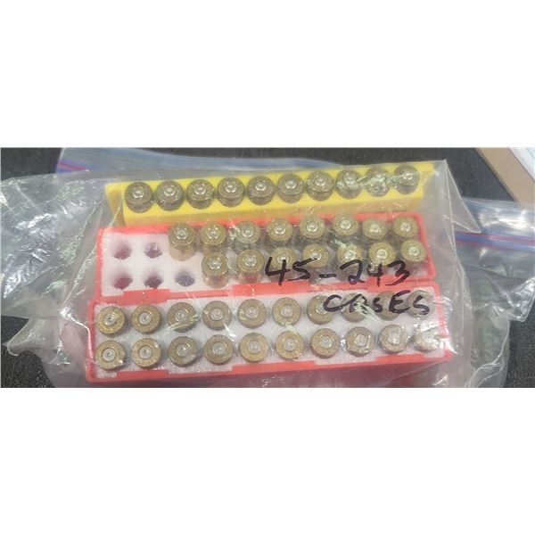 QTY 48 .243 SPENT CASES