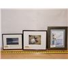 Image 1 : 3 Framed number Prints  11/100 "Berry Dove"  - 27/100 "Shells'  -   "Light House"