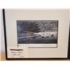 Image 2 : 3 Framed number Prints  11/100 "Berry Dove"  - 27/100 "Shells'  -   "Light House"