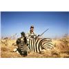 Image 3 : Namibian Safari with Afrihunt for 2 Hunters - includes 6 trophy fees