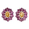 Image 1 : Natural Citrine Rhodolite Garnet Earrings