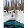 Image 4 : Whitefish Mountain Ski Getaway