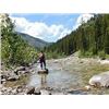 Image 3 : Great Bear Wilderness Fishing Trip for 4
