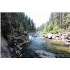 Image 4 : Great Bear Wilderness Fishing Trip for 4