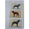 Image 2 : (9) Vintage Post Sugar Crisp Dog Cards
