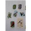 Image 2 : (15) Arm & Hammer Soda Cards - Useful Birds