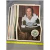 Image 4 : 1973-74 OPC Series of 20 WHA Bubble-gum Hockey Posters