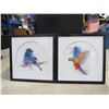 Image 1 : Framed Bird Portraits