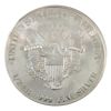 Image 2 : USA Silver 2000 National Collector's Mint-American Eagle 1/2 LB .999 Fine Silver Round (Tax Exempt)