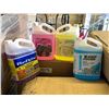 Image 1 : Assorted Winter -40 Windshield Washer Fluid 4 x 3.78L
