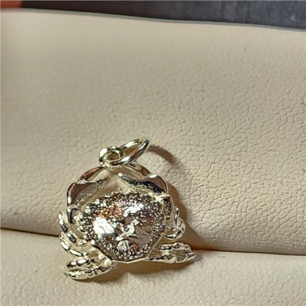 Silver Pendant (~Size 0) (~length 0 inches), Suggested Retail Value $50