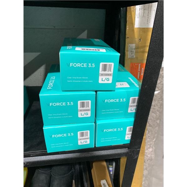 Forcefield large vinyl gloves, 5 boxes of 200 gloves