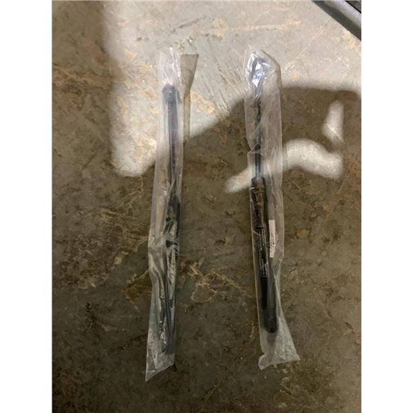 Lot of 2 Hydrolic Rams