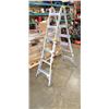 Image 1 : ALUMINUM EXTENSION LADDER