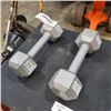 Image 1 : PAIR OF 10LB DUMBELLS