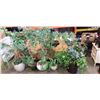 Image 1 : LOT OF POTTED FAKE HOUSE PLANTS