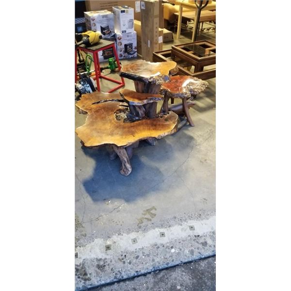 2 PIECE BURL TEIRD COFFEE TABLE