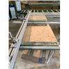 Image 5 : SCM MODEL SI16 W 10' SLIDING PANEL SAW WITH CONVEYOR ROLLERS