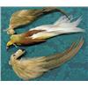 Image 1 : Lot Of 3 Exotic Bird Feathers For Millinery