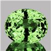 Image 1 : Nautral Tsavorite Garnet 6.5 x .5.5 MM (VVS)