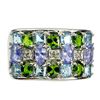 Image 1 : Natural Tanzanite & Chrome Diopside Ring