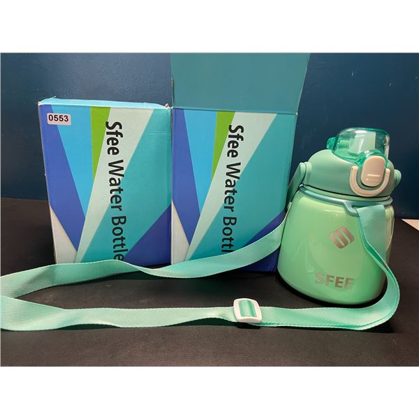 Lot of 2 Sfee Insulated Stainless Steel Water Bottles w/ Handle - 22oz - Mint Green