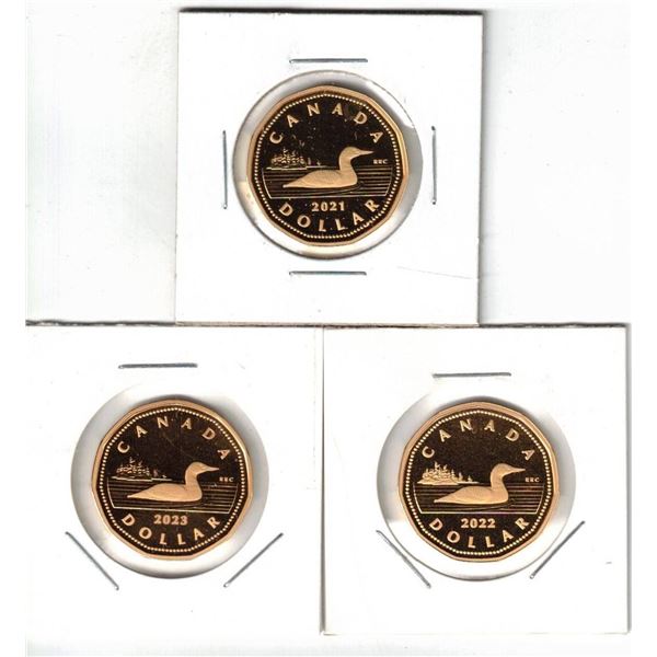 2021-2022-2023 Canada Loon Fine Silver/Gold Plated