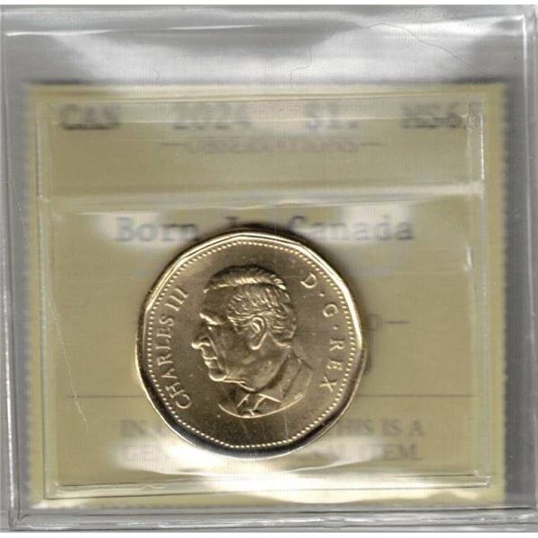 2024 $1. Born In, PCCS graded MS65, Professional Coin Certification System