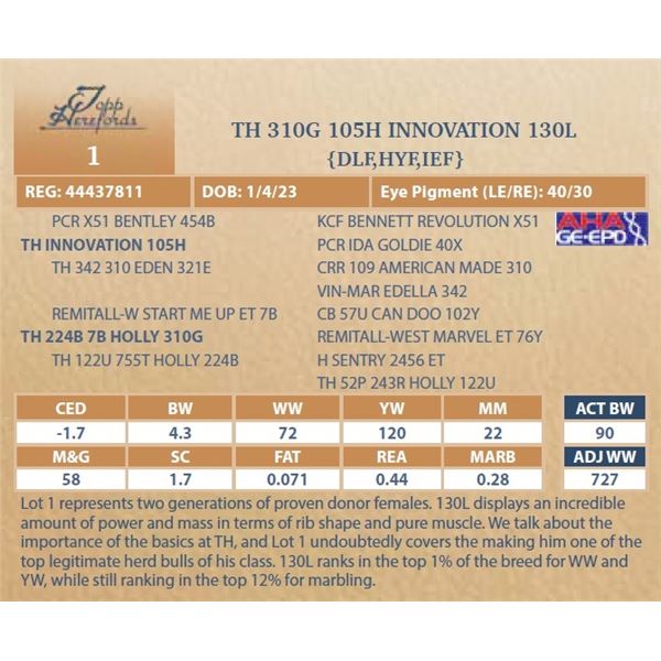 TH 310G 105H INNOVATION 130L