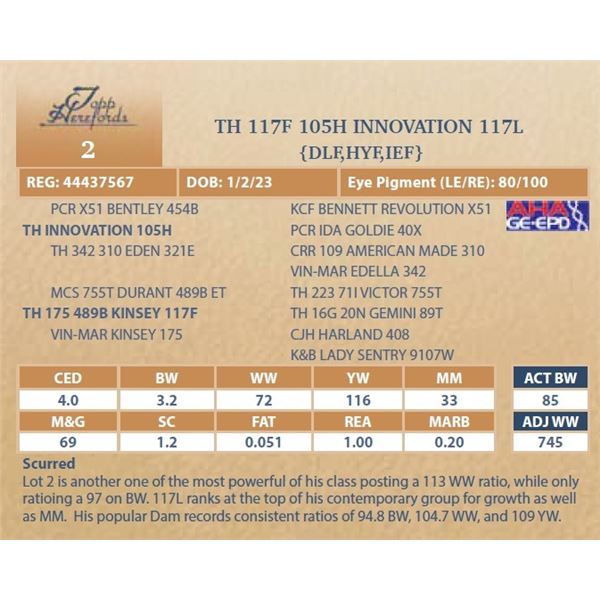 TH 117F 105H INNOVATION 117L