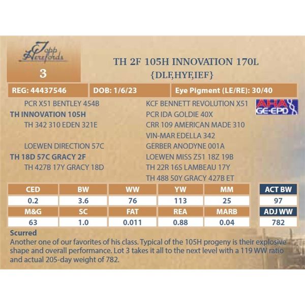 TH 2F 105H INNOVATION 170L