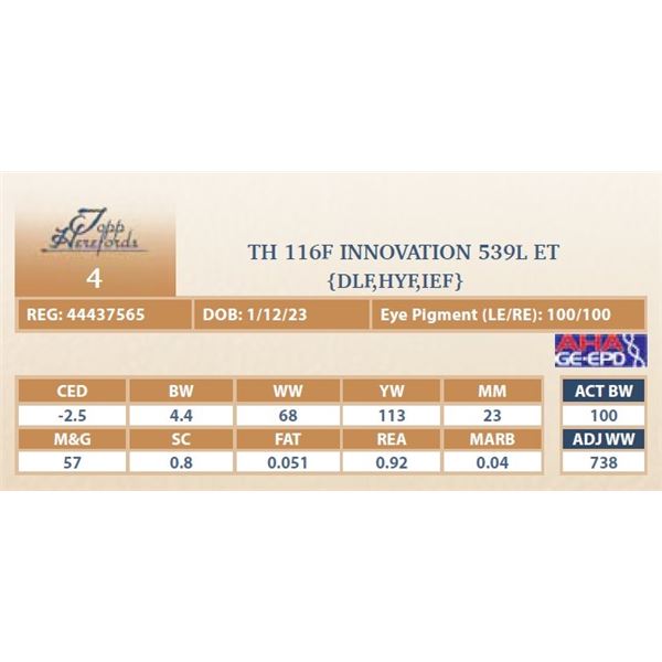 TH 116F INNOVATION 539L ET